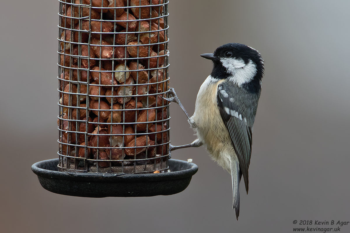 7D2_3228.jpg 7D2_3228.jpg