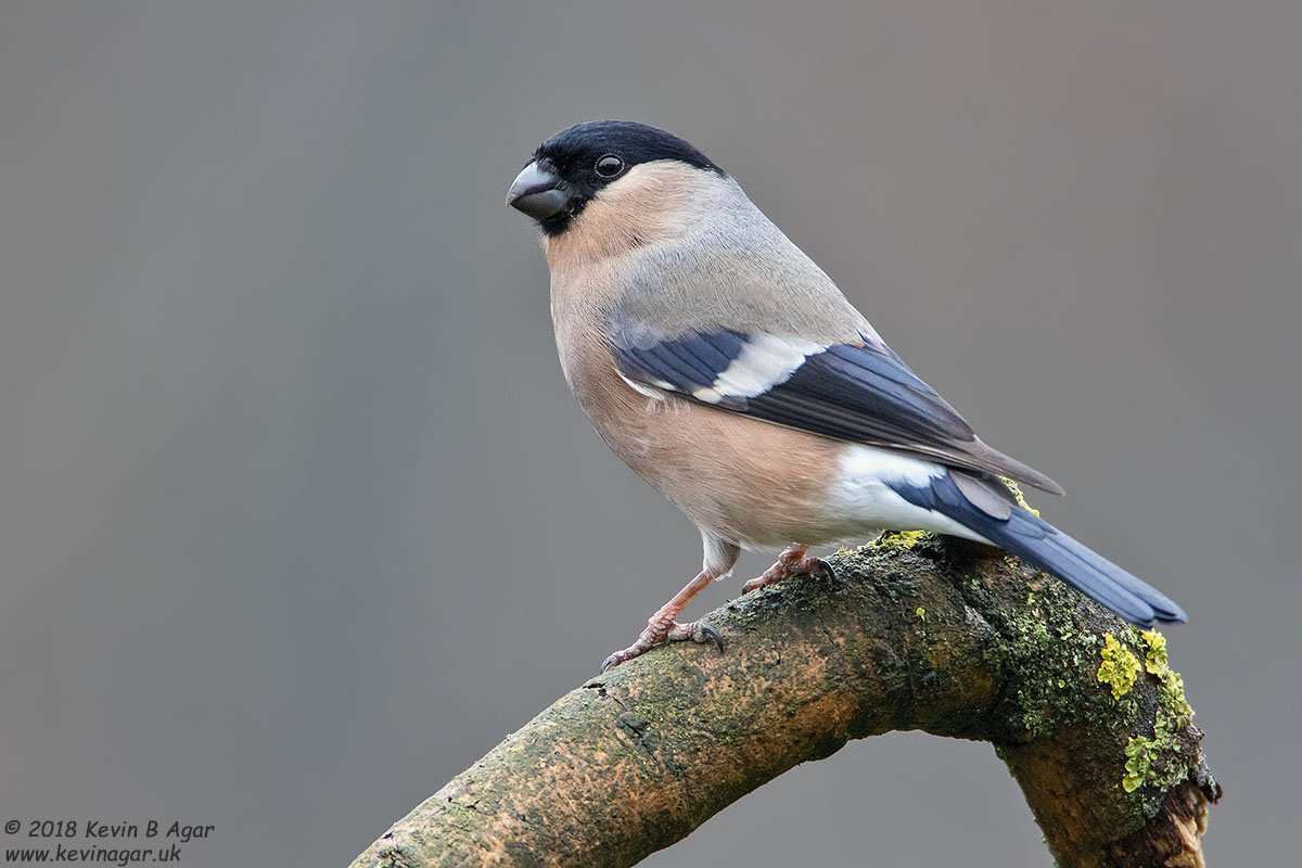 7D2_3314.jpg 7D2_3314.jpg