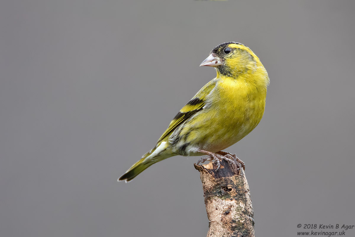 7D2_3322.jpg 7D2_3322.jpg