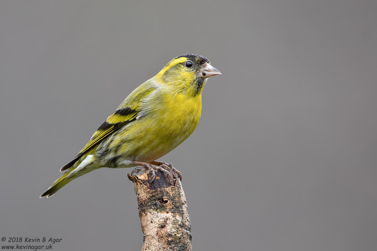 7D2_3329.jpg 7D2_3329.jpg