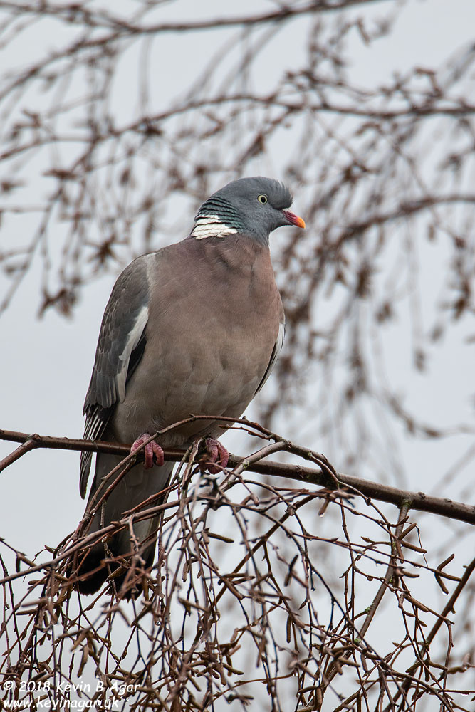 7D2_3419.jpg