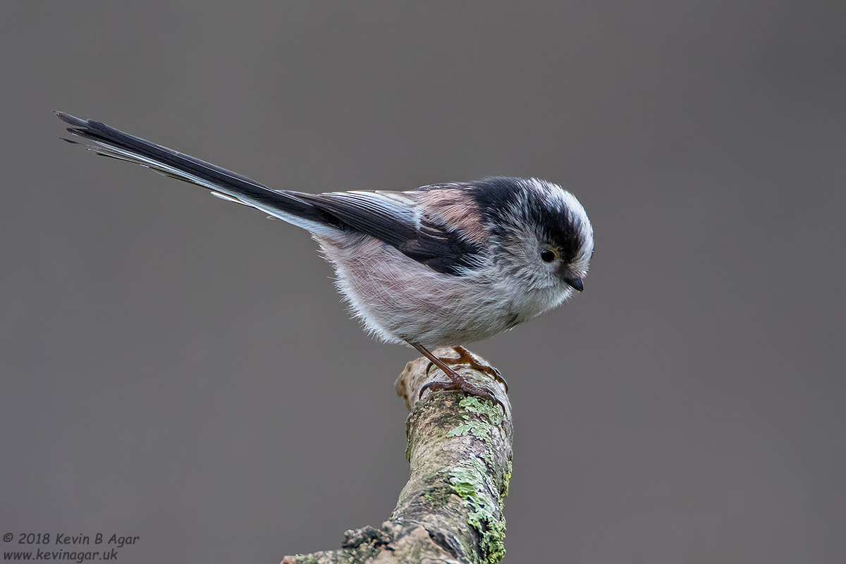 7D2_3150-2.jpg