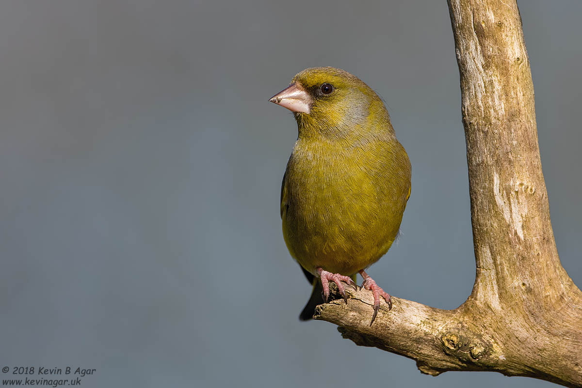 7D2_3879.jpg 7D2_3879.jpg