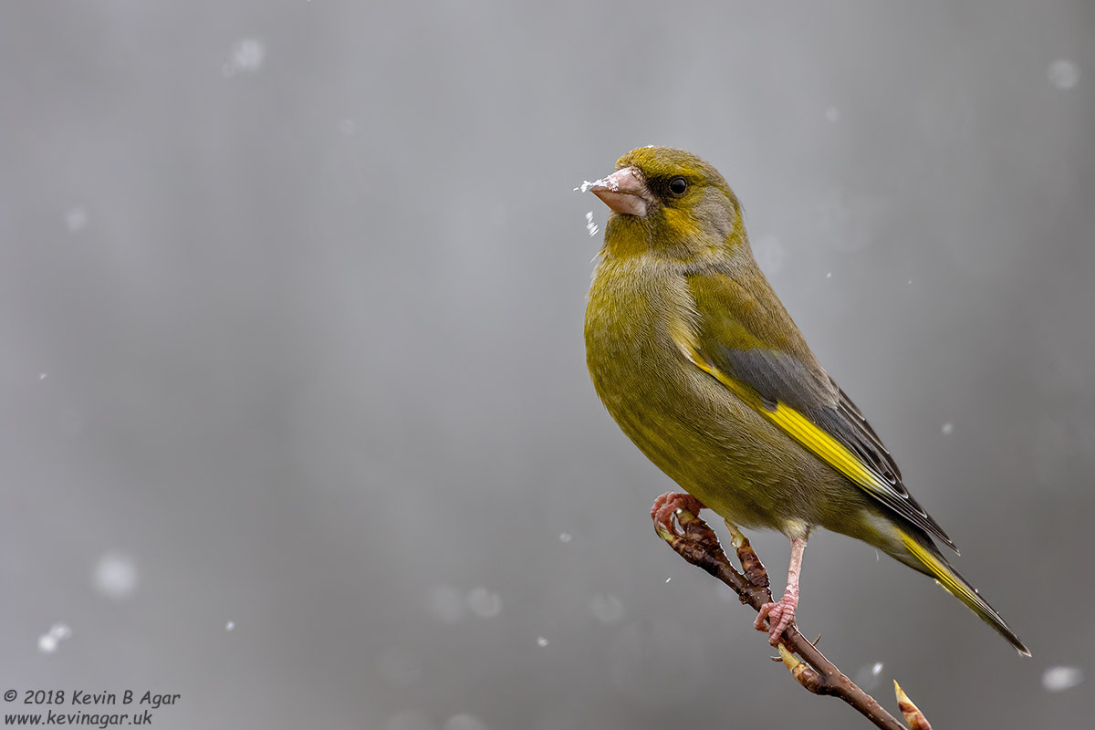 7D2_4164.jpg 7D2_4164.jpg