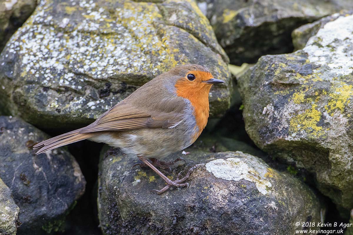 7D2_4047-2.jpg 7D2_4047-2.jpg