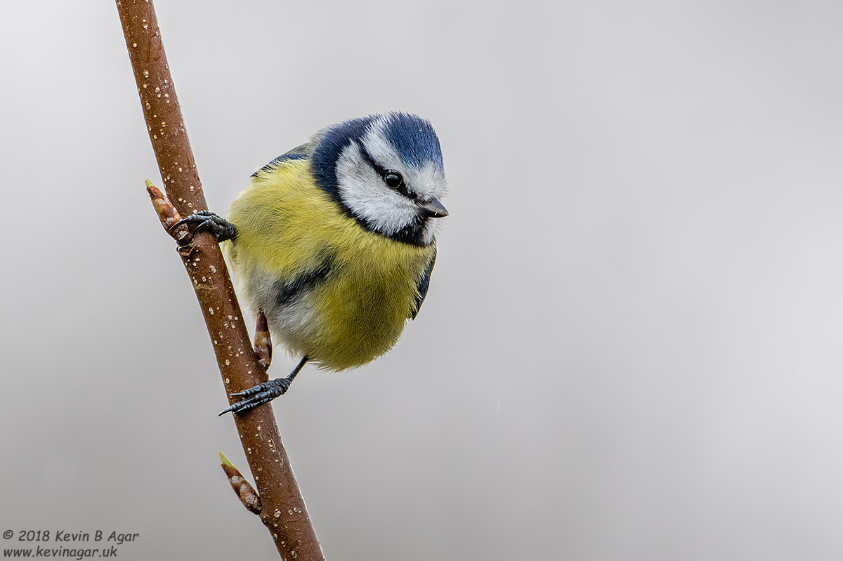 7D2_4062-2.jpg 7D2_4062-2.jpg