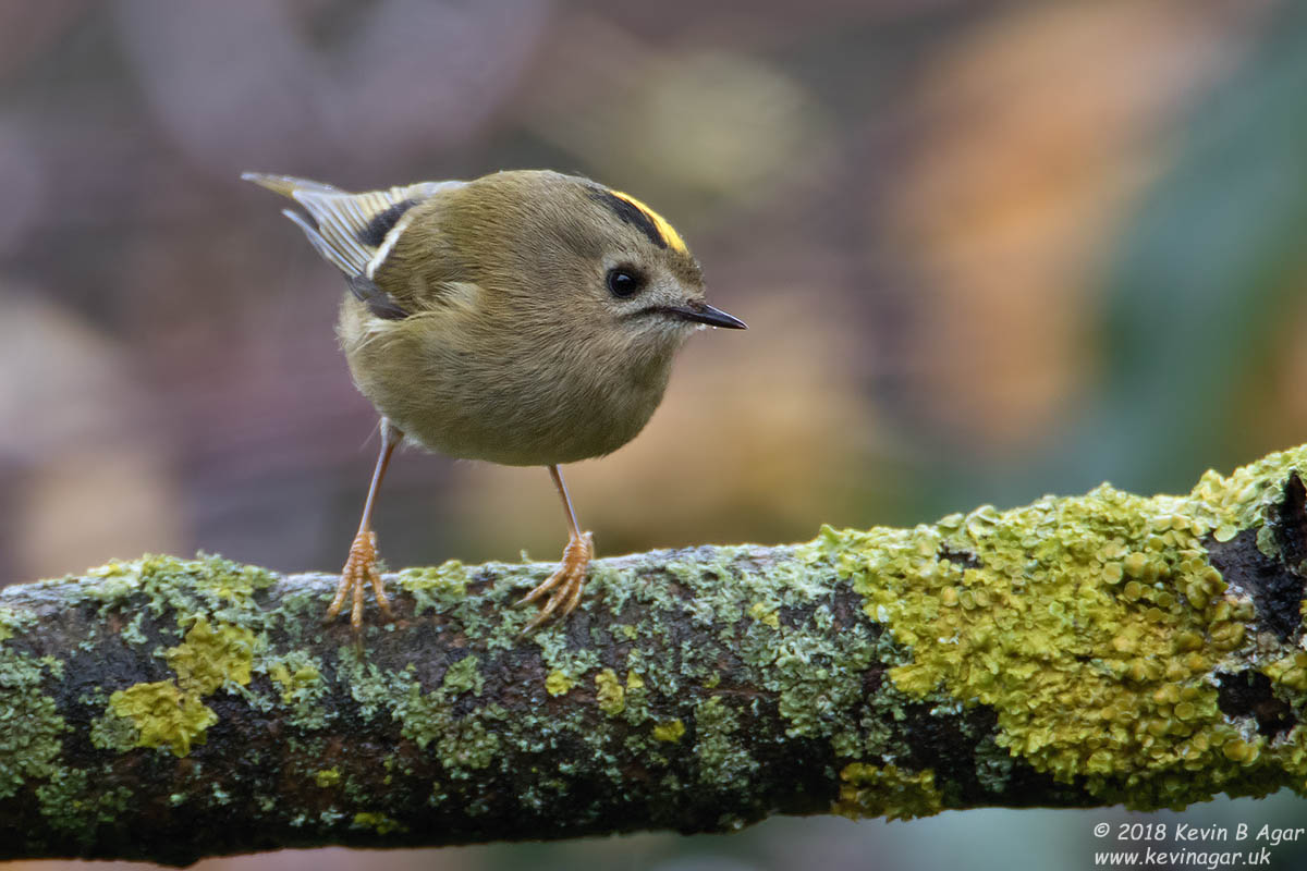 7D2_3535-2.jpg 7D2_3535-2.jpg