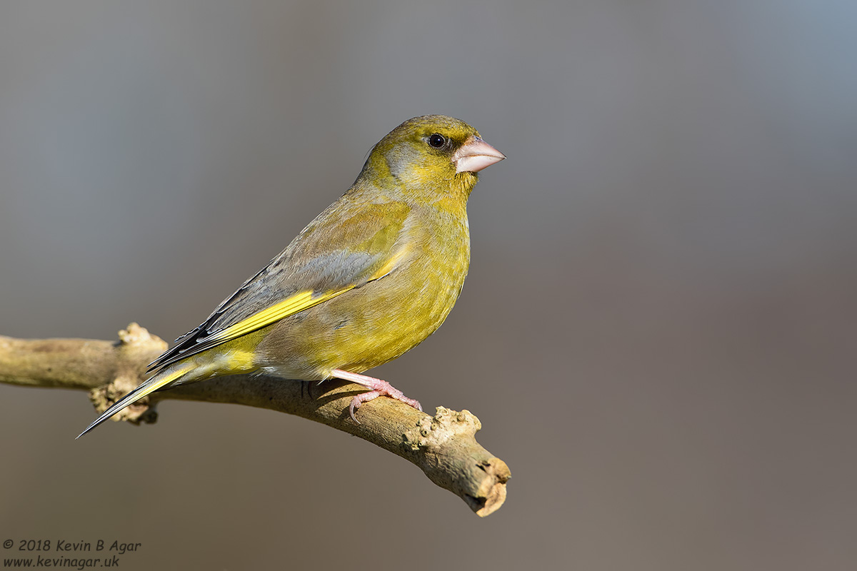 7D2_3904-2.jpg