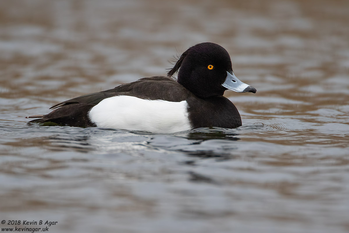 7D2_4542.jpg 7D2_4542.jpg