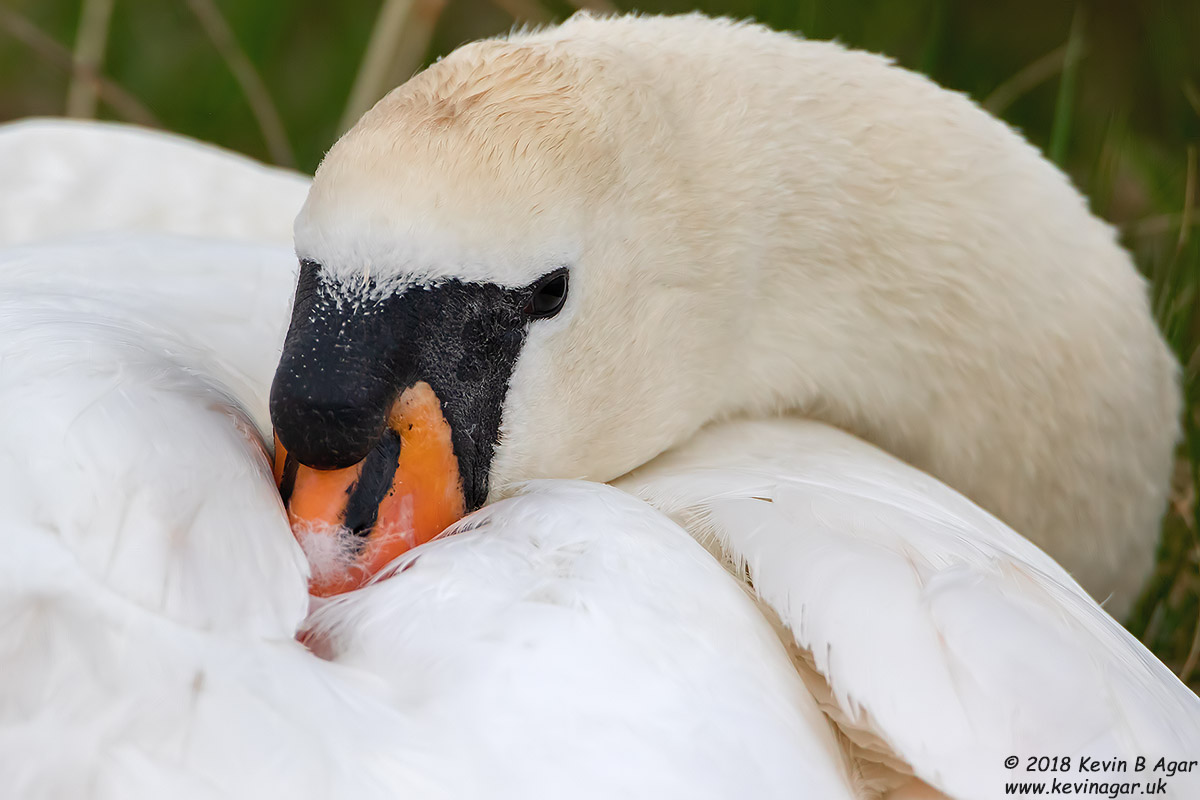 7D2_4587.jpg 7D2_4587.jpg