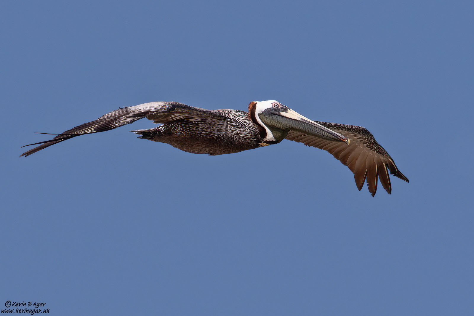 7D2_4848.jpg 7D2_4848.jpg