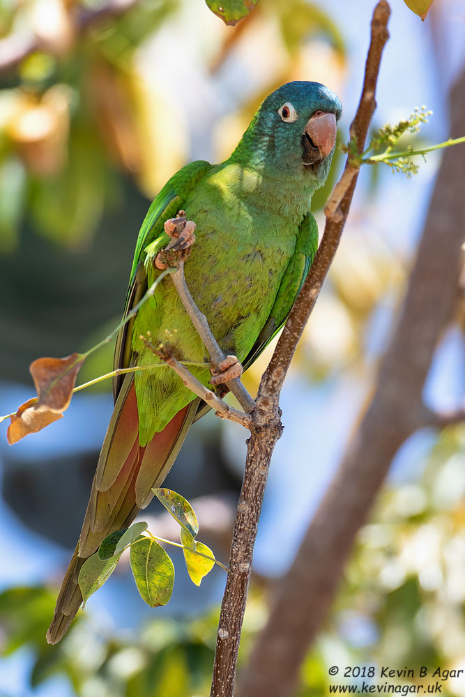 7D2_4970.jpg 7D2_4970.jpg