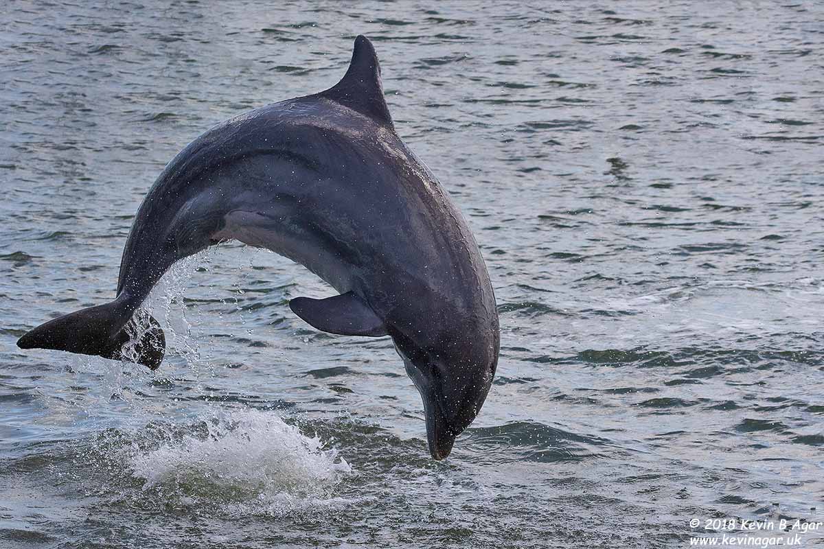 7D2_5787.jpg 7D2_5787.jpg