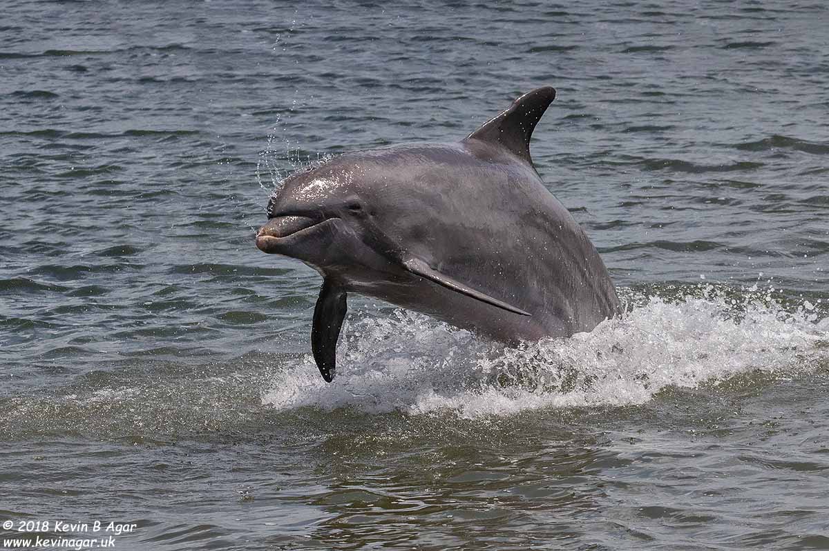 7D2_5811.jpg 7D2_5811.jpg