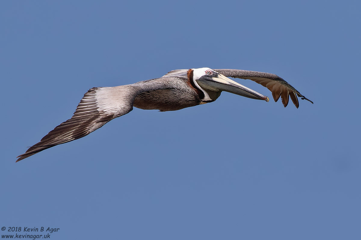 7D2_4853.jpg 7D2_4853.jpg