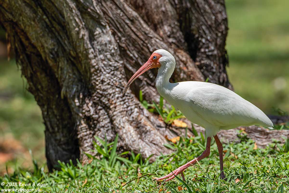 7D2_5128.jpg 7D2_5128.jpg