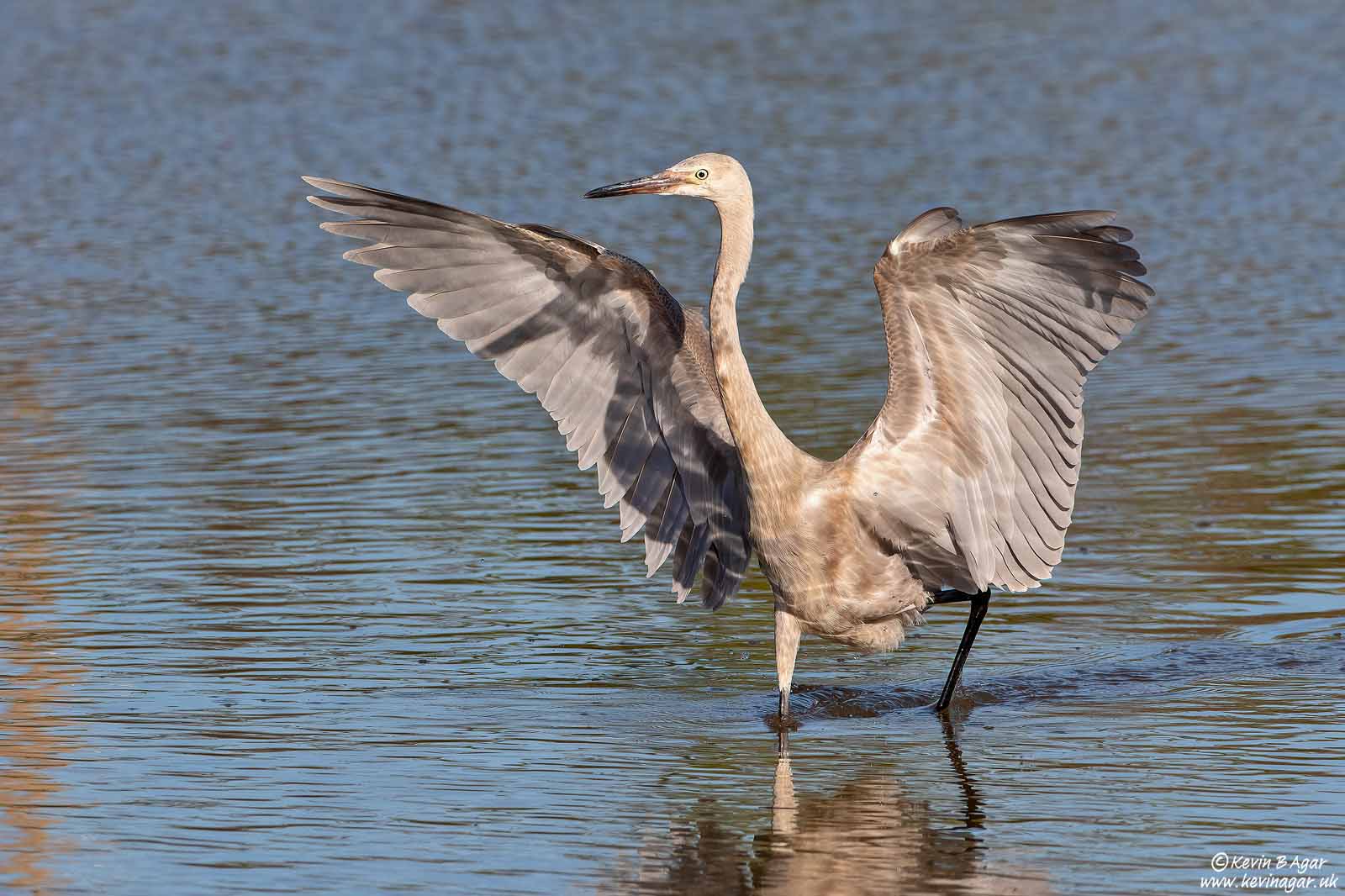 7D2_6435.jpg 7D2_6435.jpg