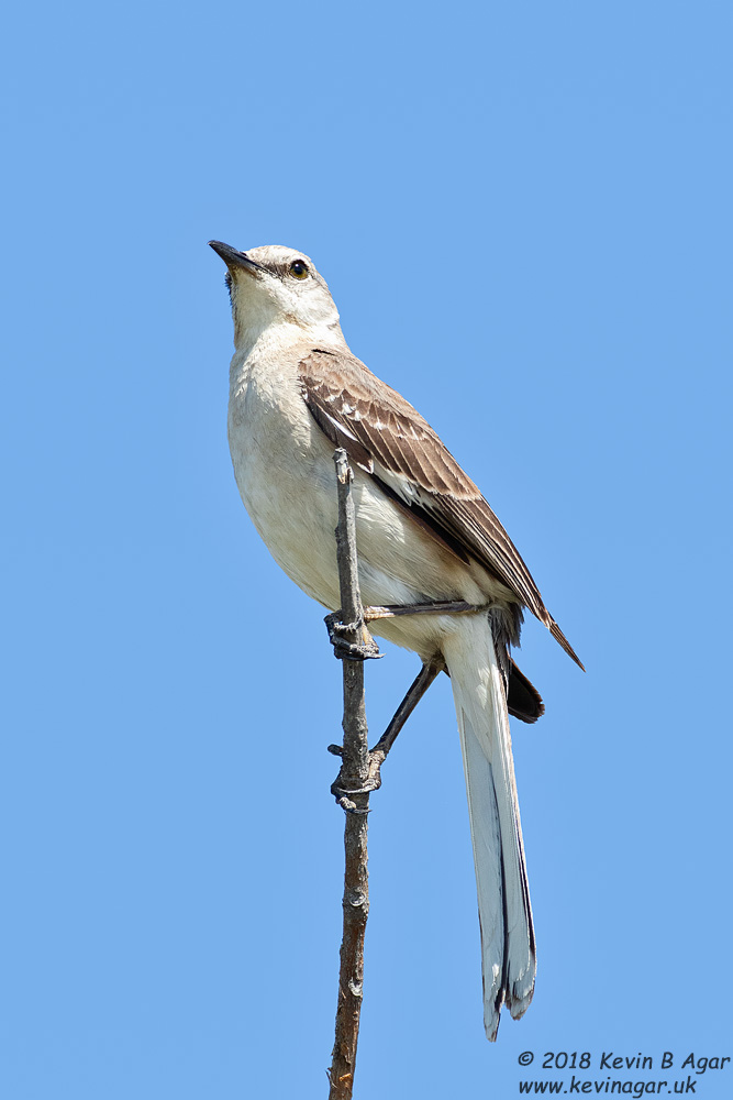 7D2_5429.jpg 7D2_5429.jpg