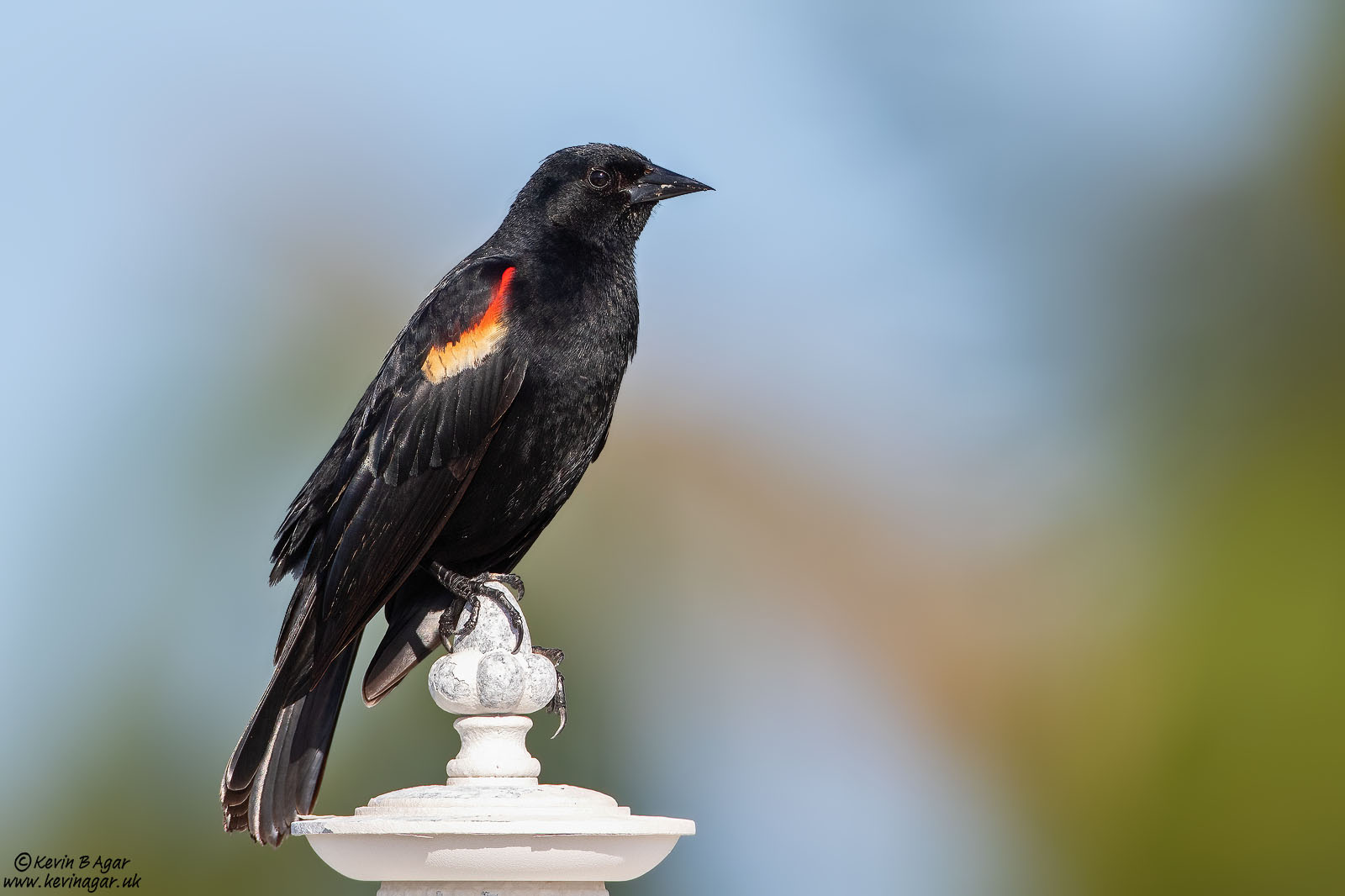 7D2_6400.jpg 7D2_6400.jpg