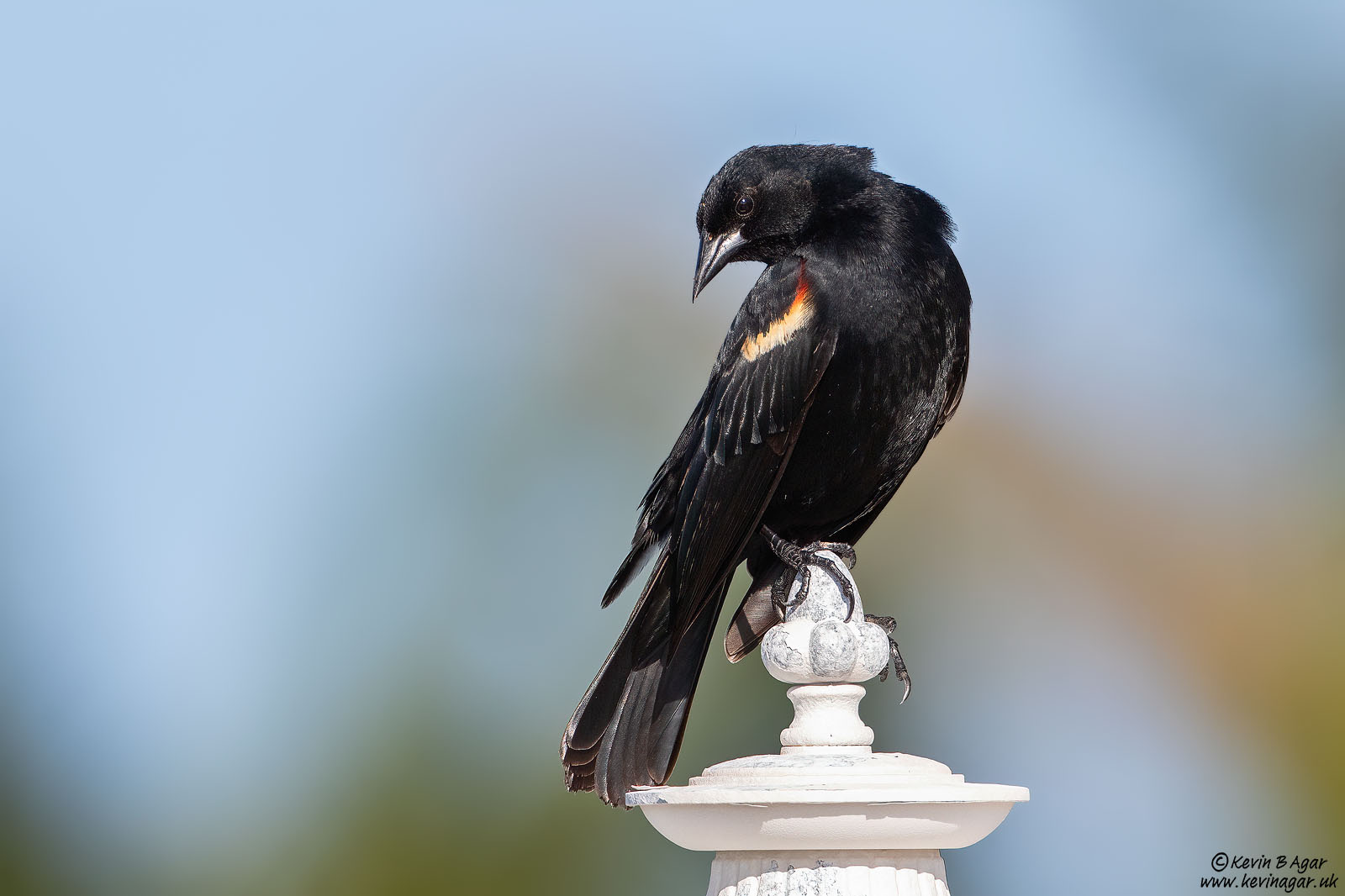 7D2_6405.jpg 7D2_6405.jpg