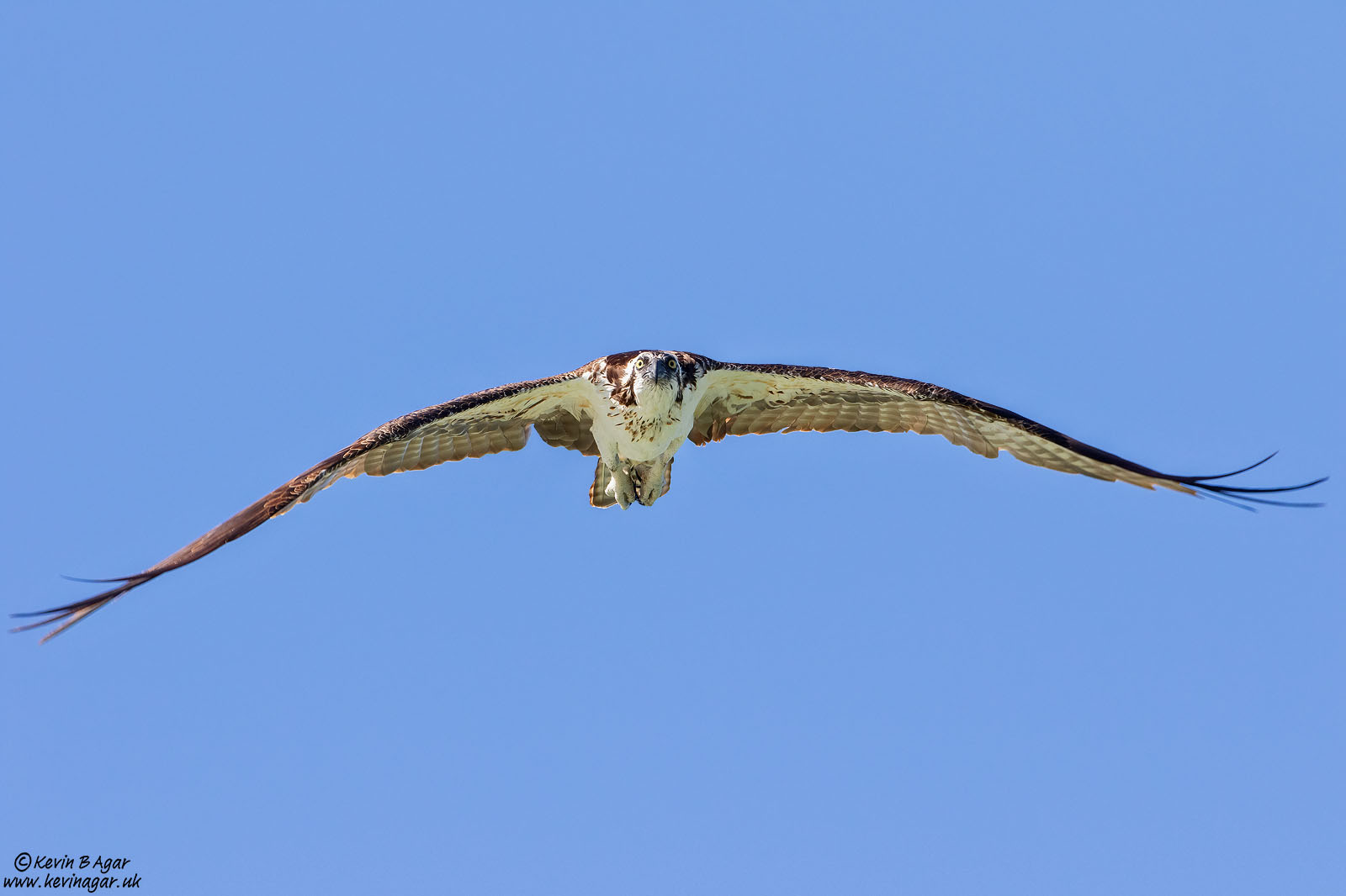 7D2_6517.jpg 7D2_6517.jpg