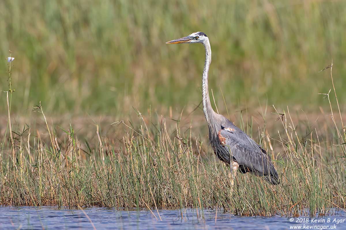 7D2_5614-2.jpg 7D2_5614-2.jpg