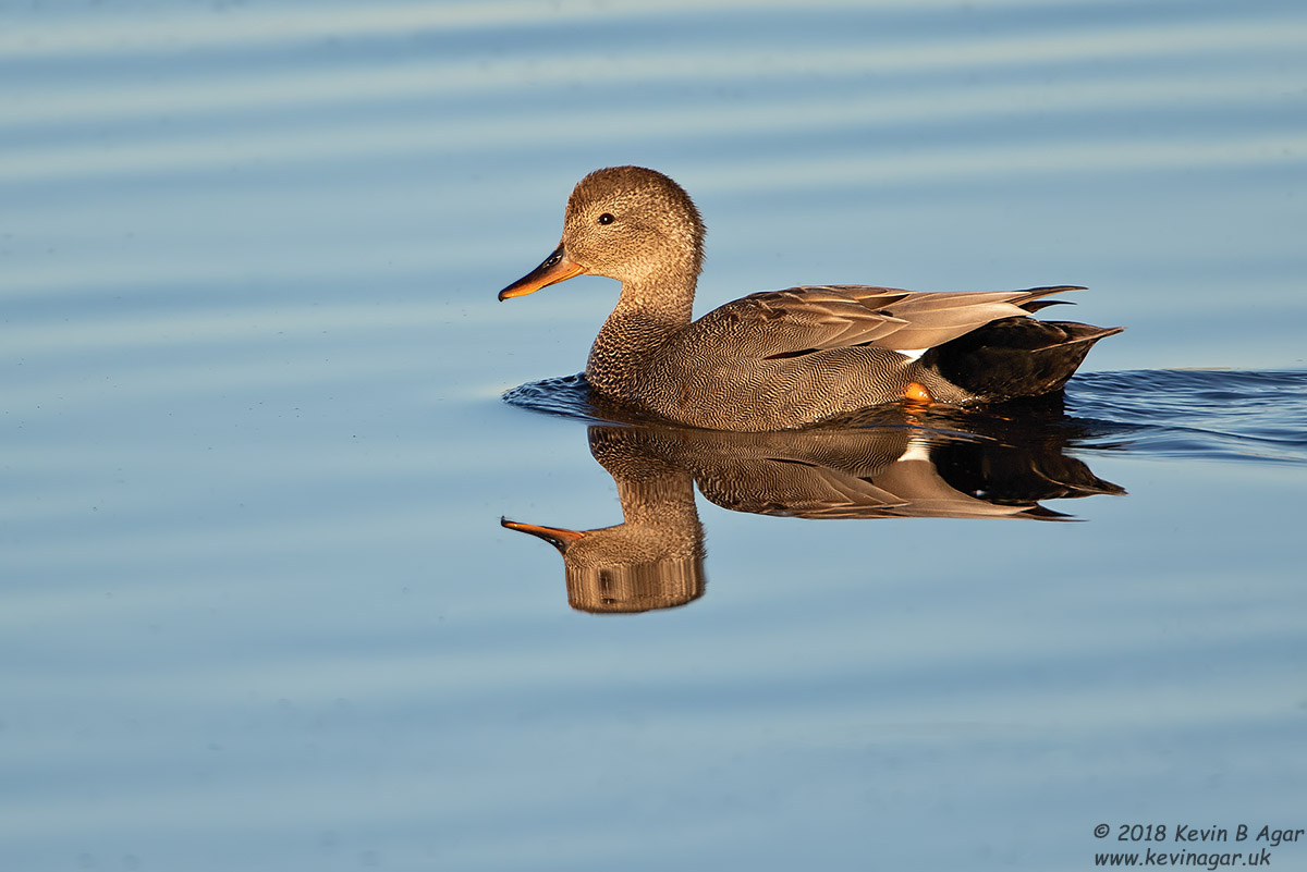 7D2_6558-2.jpg 7D2_6558-2.jpg