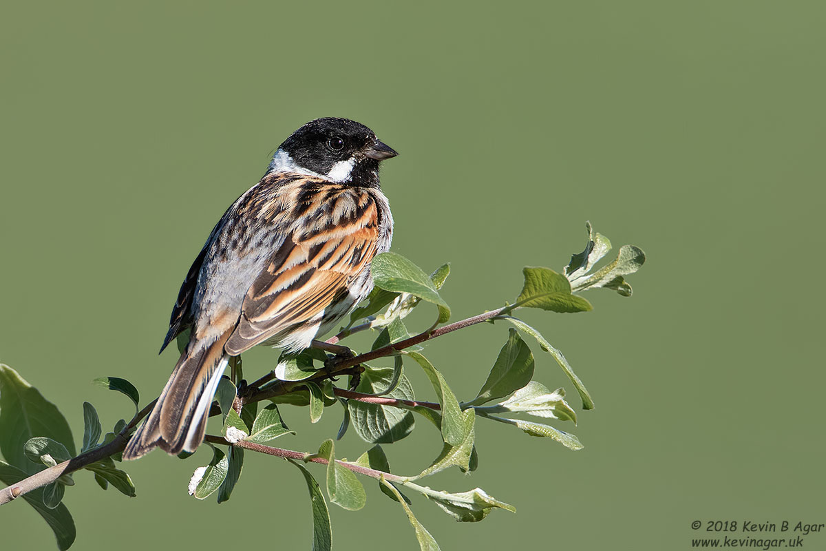 7D2_7166-2.jpg 7D2_7166-2.jpg