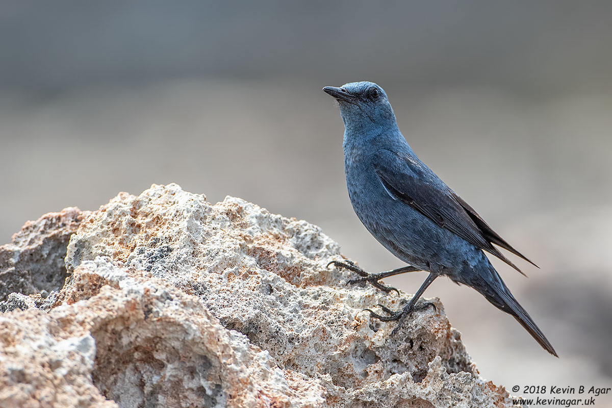 7D2_7882.jpg 7D2_7882.jpg