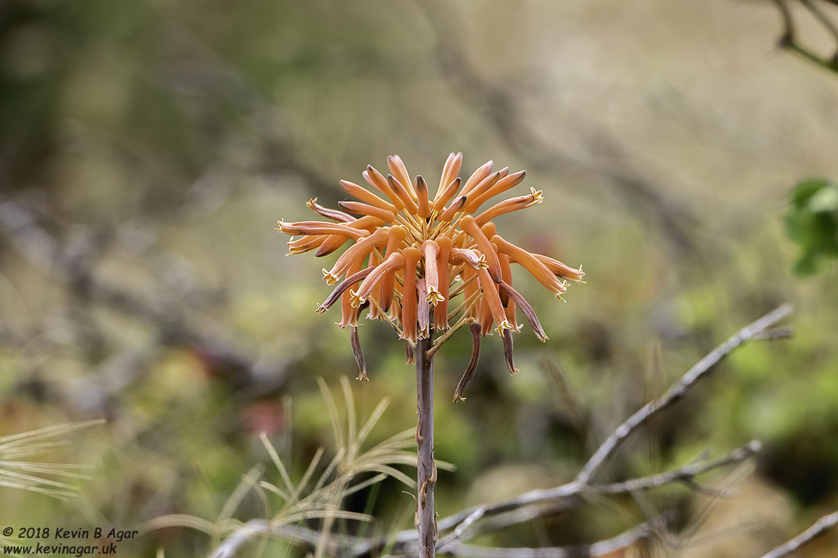 7D2_7886.jpg 7D2_7886.jpg