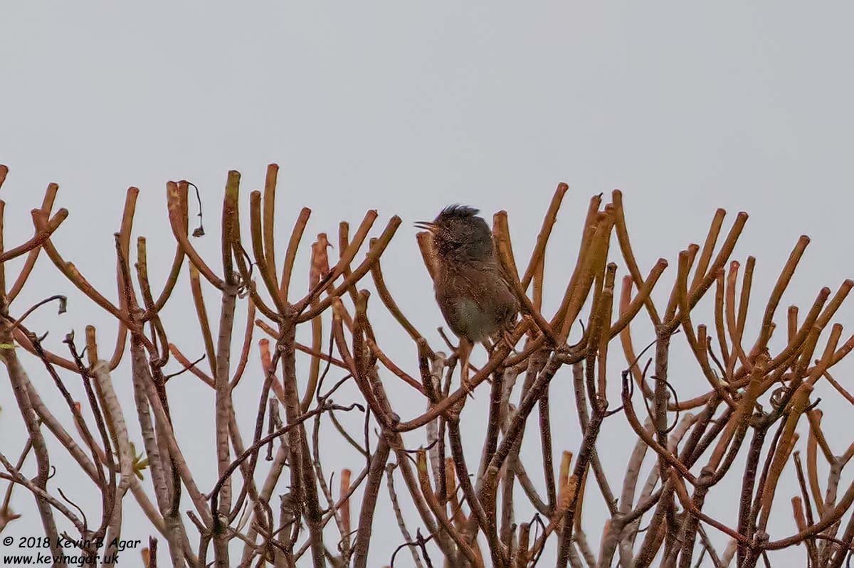 7D2_7942.jpg 7D2_7942.jpg