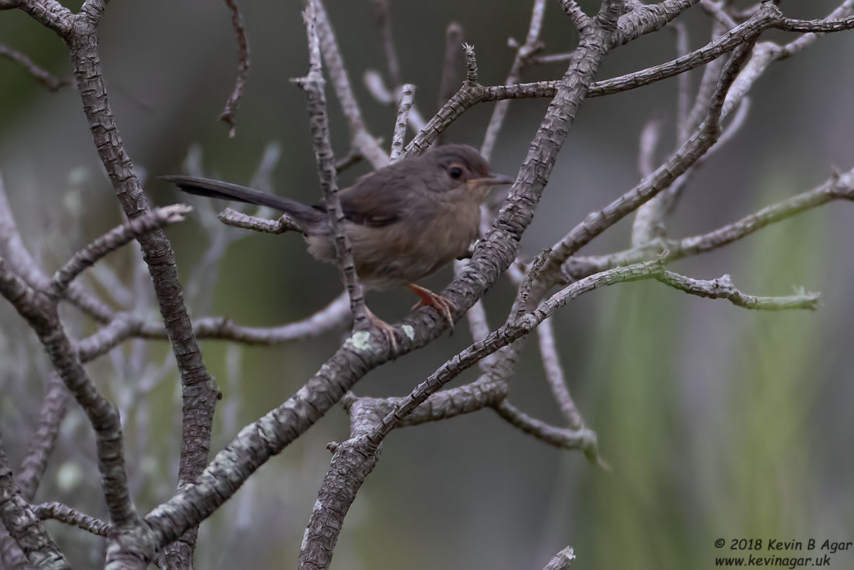 7D2_7934.jpg 7D2_7934.jpg