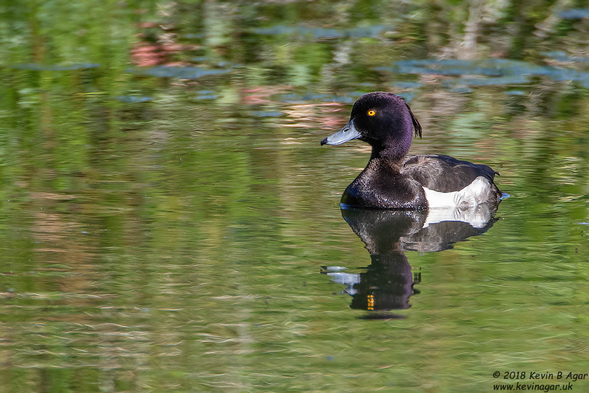 7D2_9684.jpg 7D2_9684.jpg