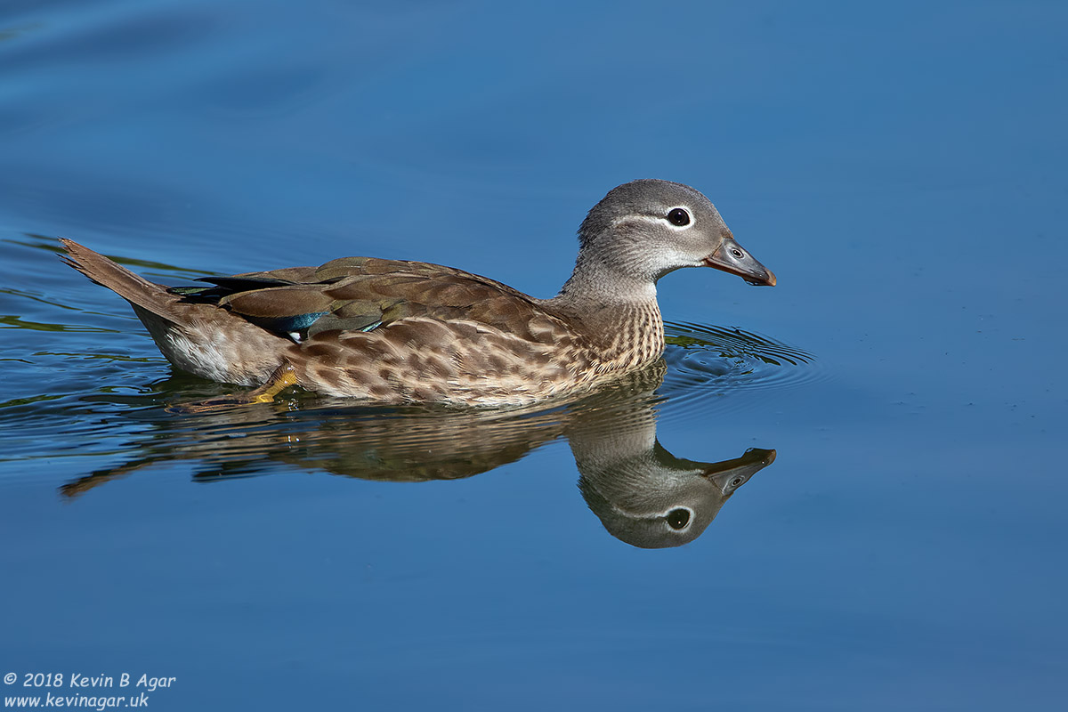 7D2_9698.jpg 7D2_9698.jpg