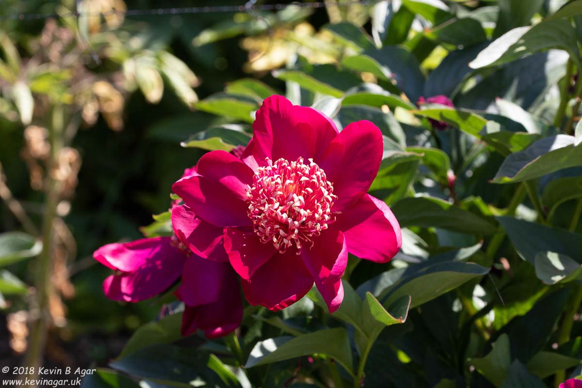 7D2_9711.jpg 7D2_9711.jpg