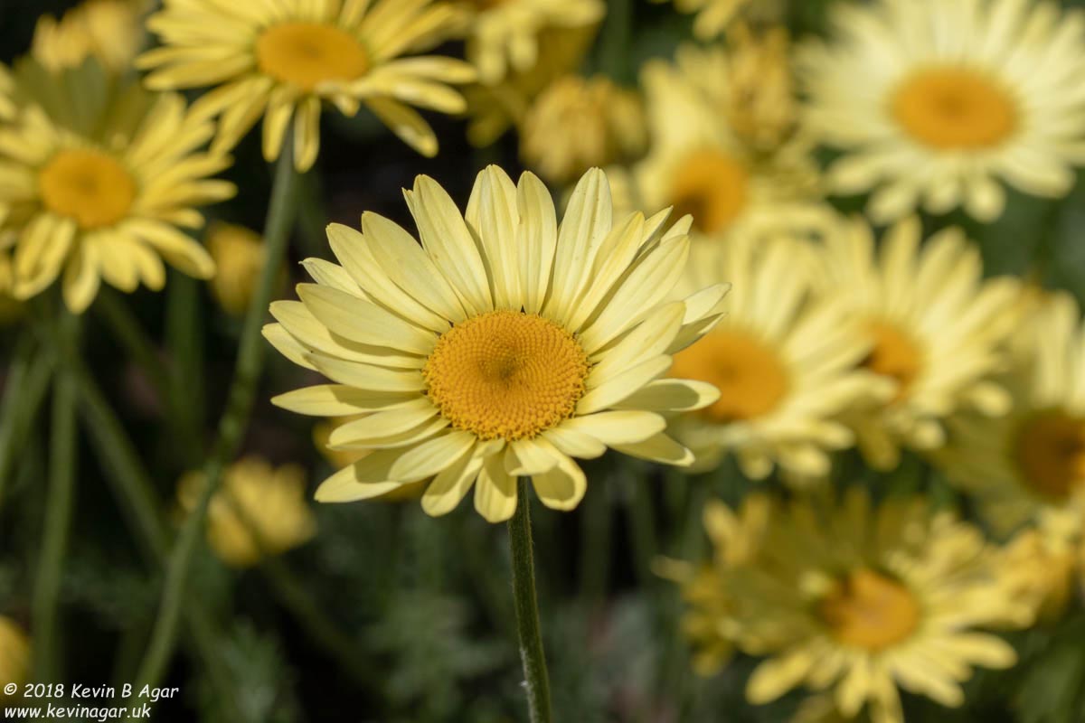 7D2_9715.jpg 7D2_9715.jpg