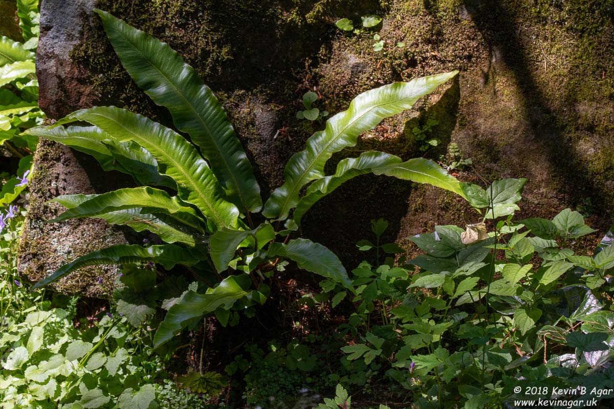 7D2_9724.jpg 7D2_9724.jpg