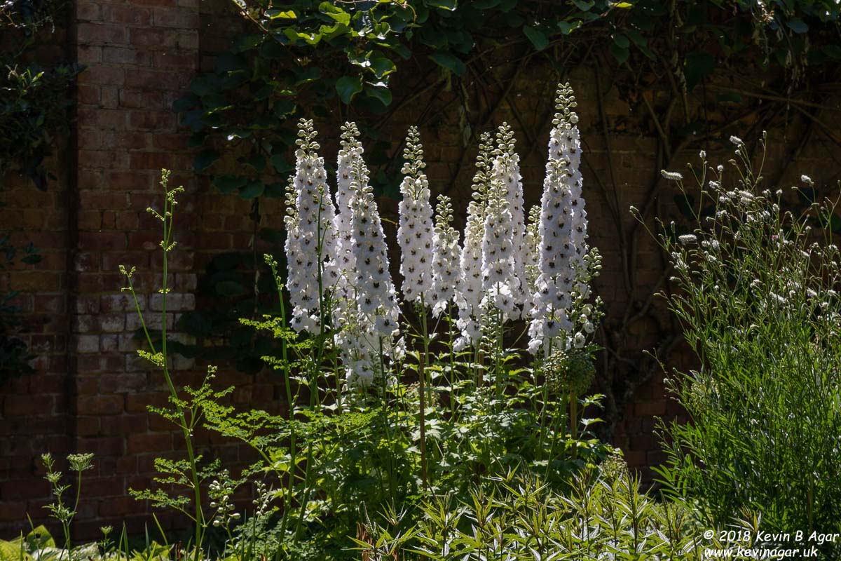 7D2_9733.jpg 7D2_9733.jpg