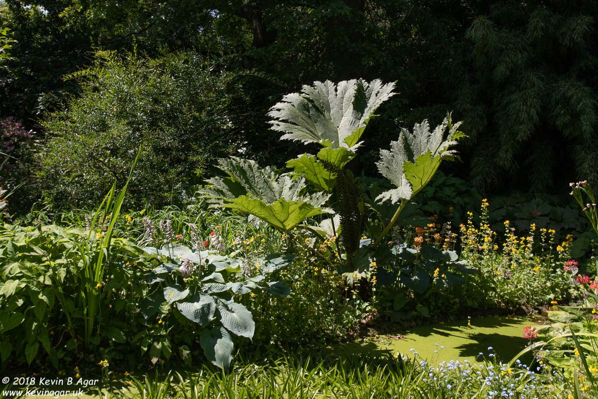 7D2_9737.jpg 7D2_9737.jpg