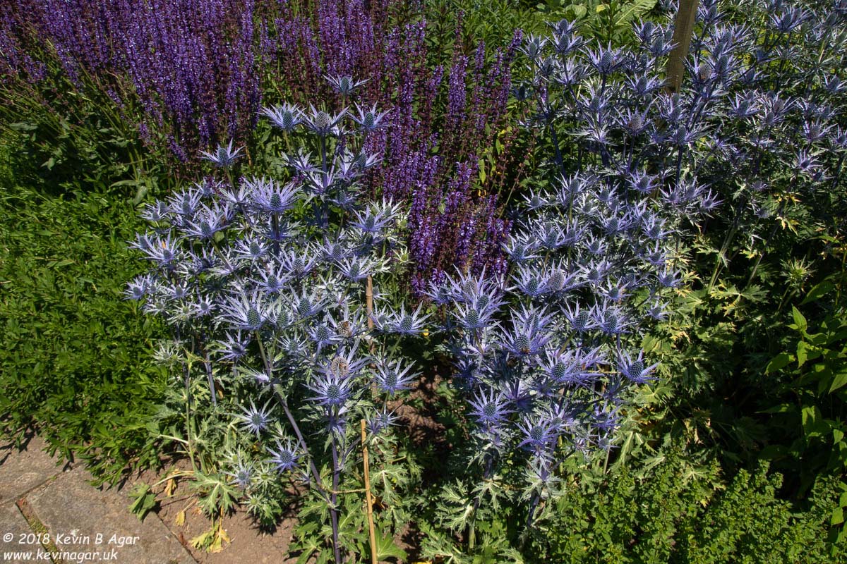 7D2_9744.jpg 7D2_9744.jpg