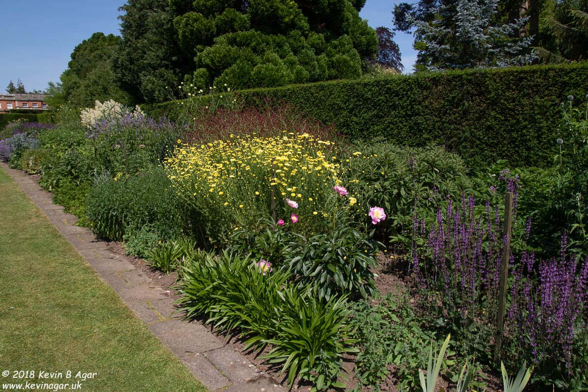 7D2_9748.jpg 7D2_9748.jpg