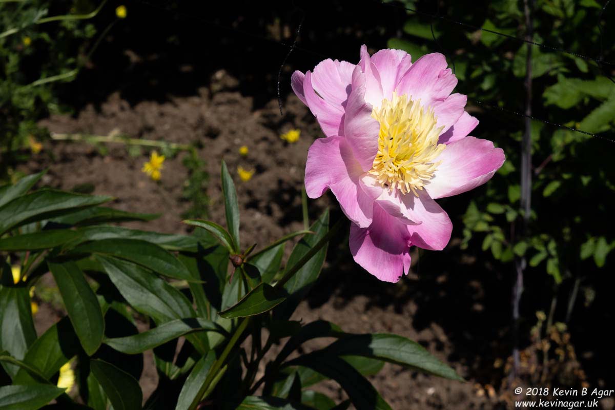 7D2_9749.jpg 7D2_9749.jpg