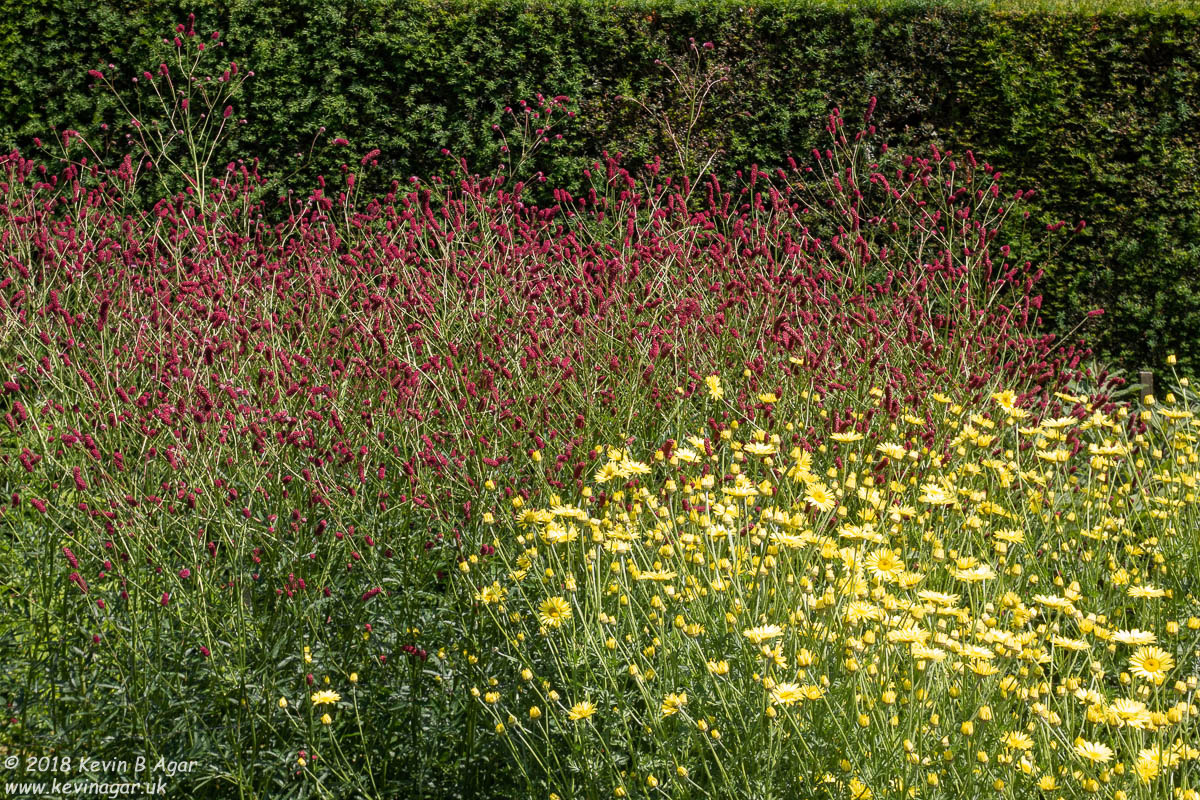 7D2_9752.jpg 7D2_9752.jpg