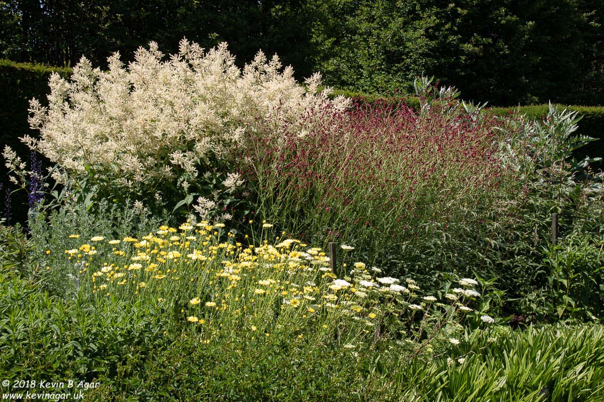 7D2_9756.jpg 7D2_9756.jpg