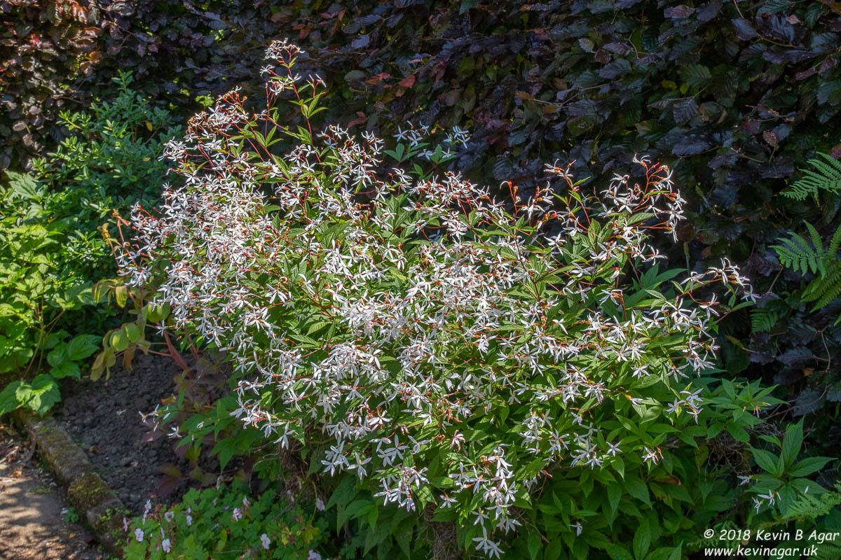 7D2_9759.jpg 7D2_9759.jpg