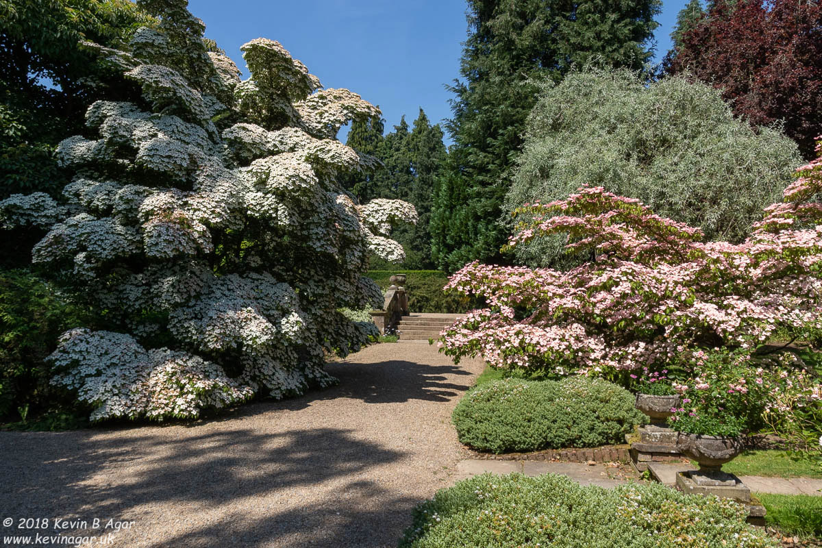 7D2_9762.jpg 7D2_9762.jpg