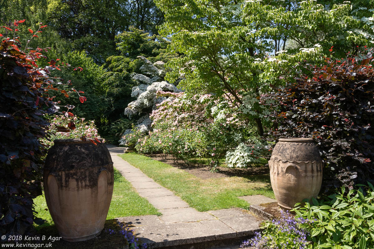 7D2_9764.jpg 7D2_9764.jpg