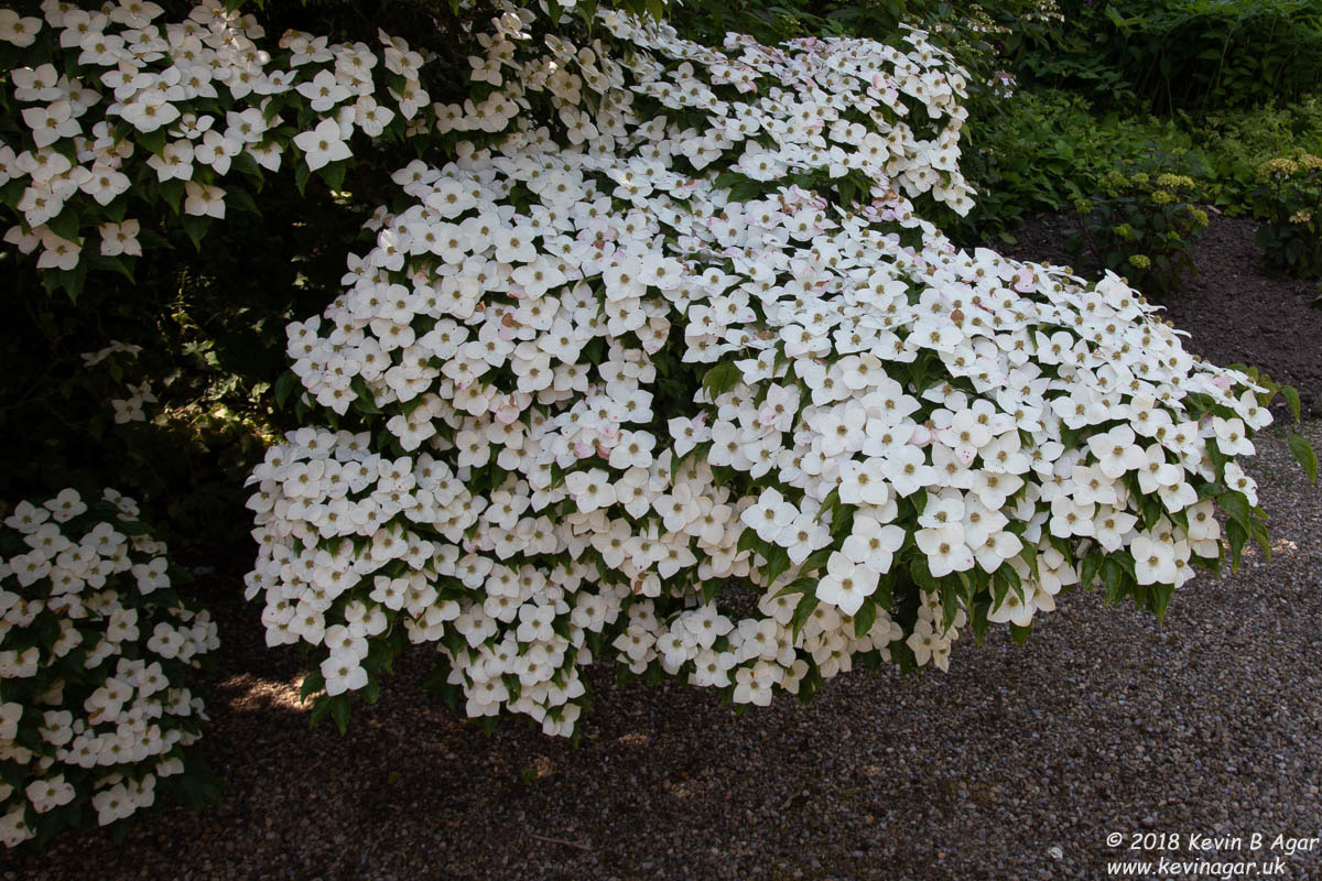 7D2_9767.jpg 7D2_9767.jpg