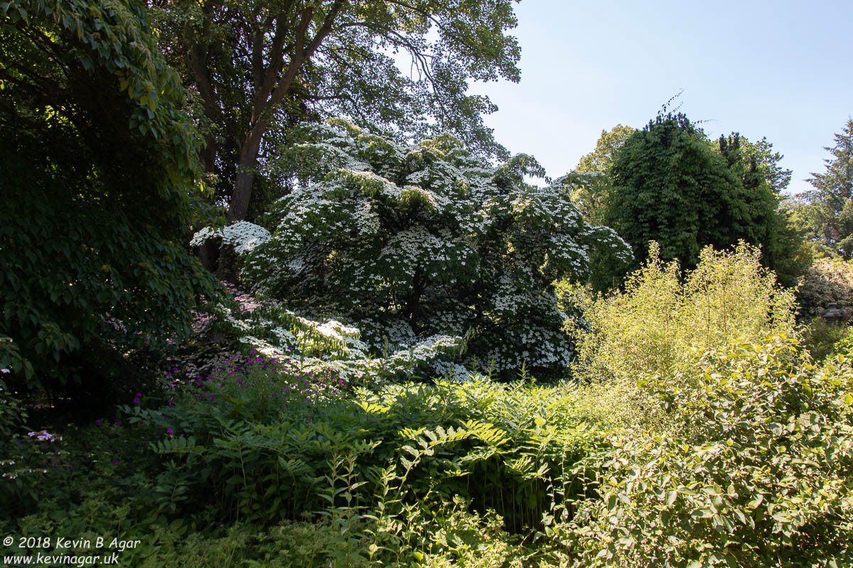 7D2_9768.jpg 7D2_9768.jpg