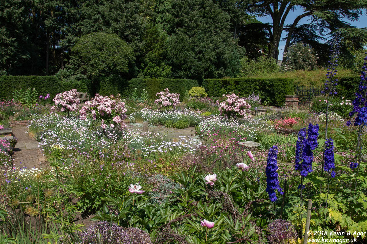 7D2_9770.jpg 7D2_9770.jpg